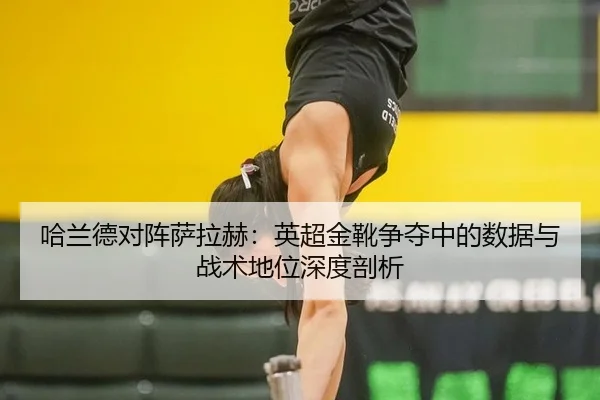 ha-lan-de-dui-zhen-sa-la-he-ying-chao-jin-xue-zheng-duo-zhong-de-shu-ju-yu-zhan-shu-di-wei-shen-du-pou-xi-2-862.jpg
