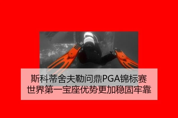si-ke-di-she-fu-lei-wen-ding-jin-biao-sai-shi-jie-di-yi-bao-zuo-you-shi-geng-jia-wen-gu-lao-kao-2-537.jpg